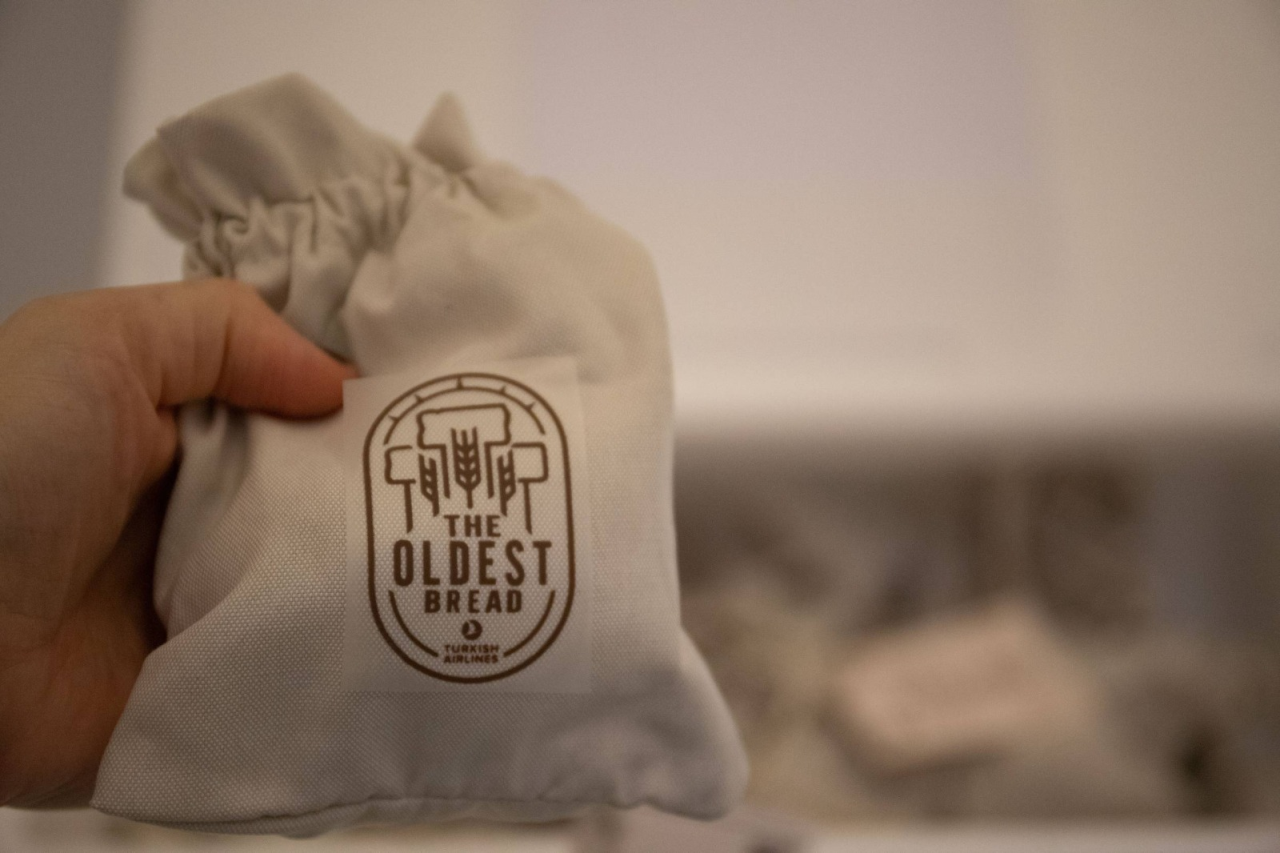 From Science to Politics: A Shared Reflection on Climate, History, and Hope